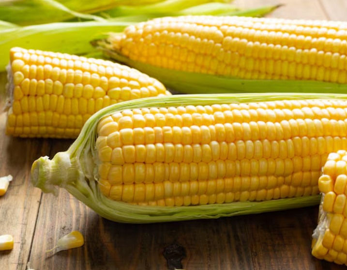 Maize