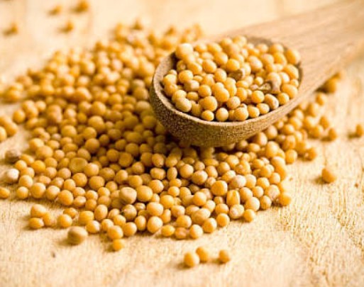 Mustard Seeds